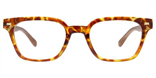 Horn Eyeglasses