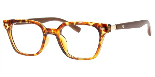 Horn Eyeglasses