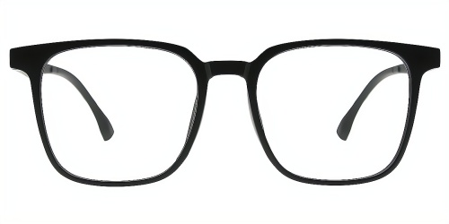 Horn Eyeglasses