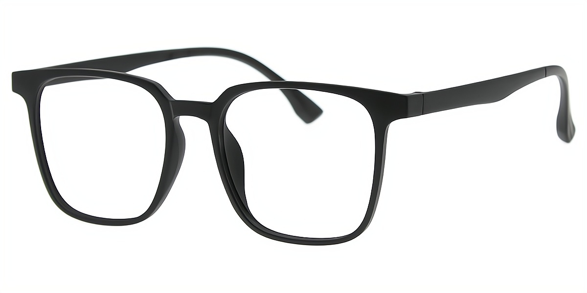 Black Horn Chic Plastic Eyeglasses