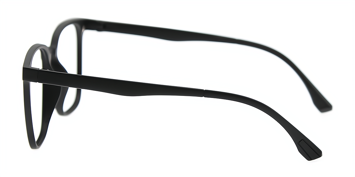 Black Horn Chic Plastic Eyeglasses