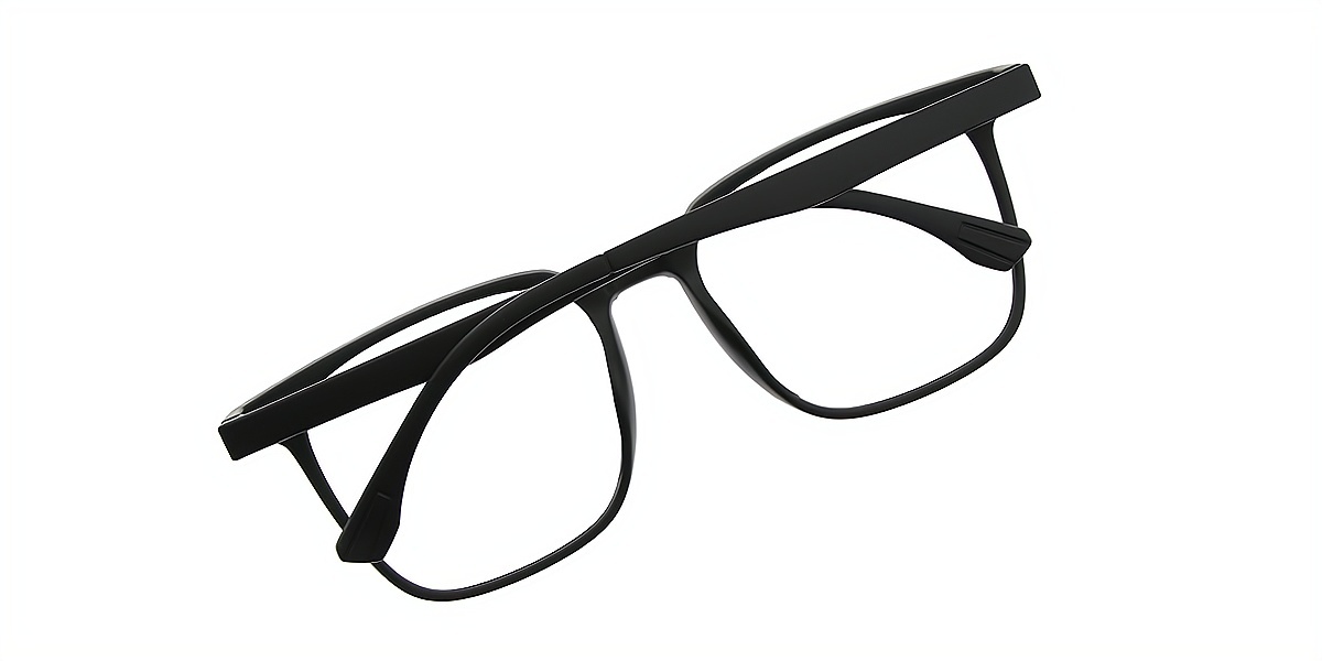Black Horn Chic Plastic Eyeglasses