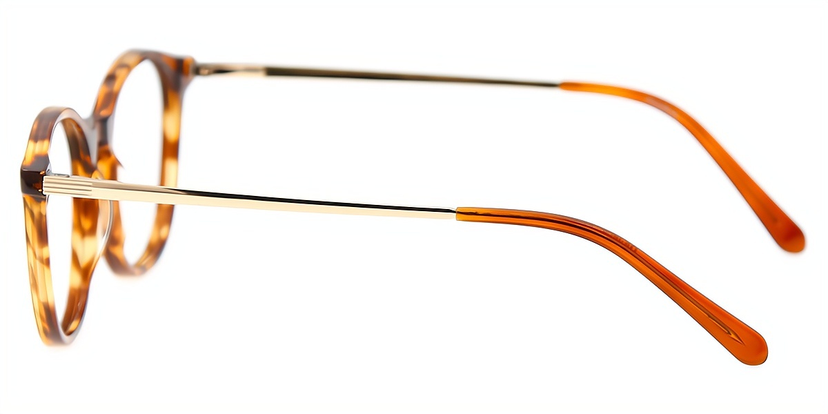 Tortoise Oval Simple Acetate Eyeglasses