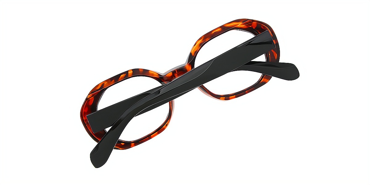 Tortoise Geometric Geek-Chic Plastic Eyeglasses
