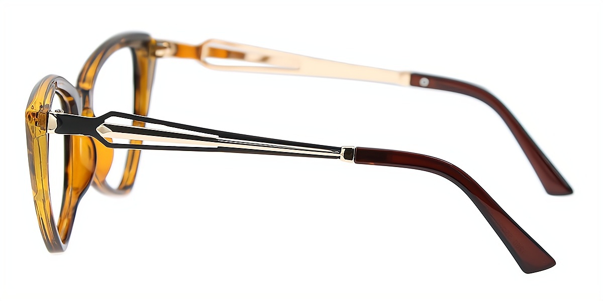 Tortoise Cat Eye Unique Plastic Eyeglasses