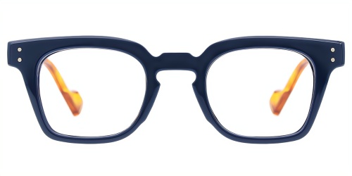 Horn Eyeglasses