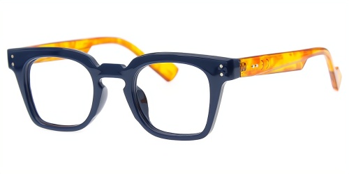 Horn Eyeglasses