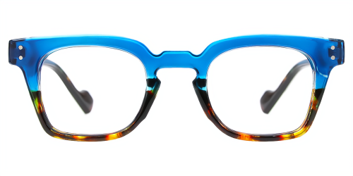 Horn Eyeglasses