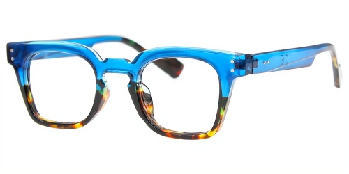 Horn Eyeglasses
