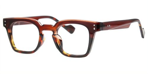 Horn Eyeglasses