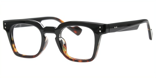 Horn Eyeglasses