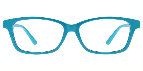 Horn Eyeglasses
