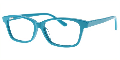 Horn Eyeglasses