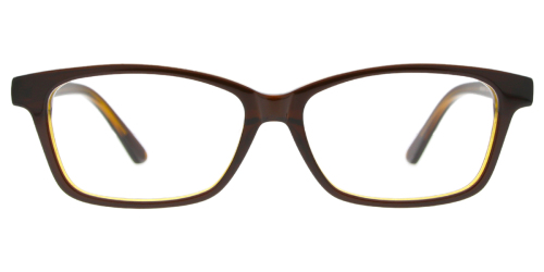 Horn Eyeglasses