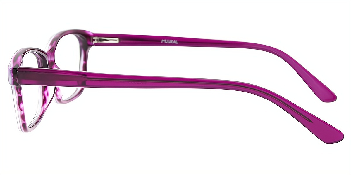 Purple Horn Ornate Acetate Eyeglasses
