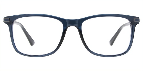 Horn Eyeglasses