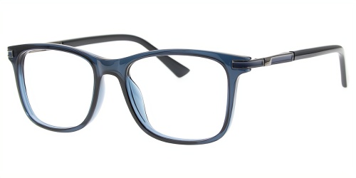 Horn Eyeglasses