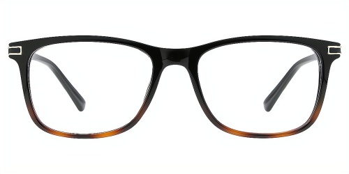 Horn Eyeglasses