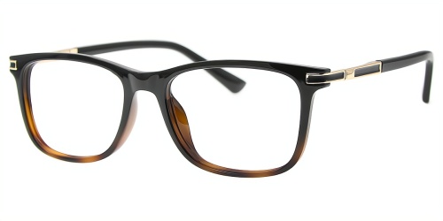 Horn Eyeglasses