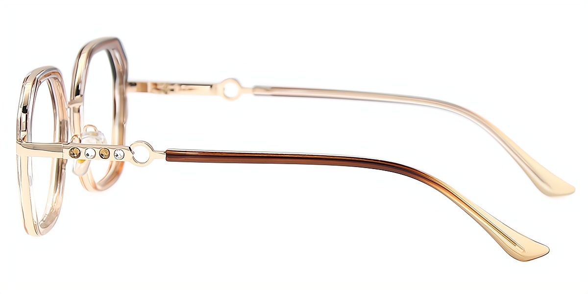 Brown Geometric Elegant Mixed Materials Eyeglasses