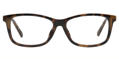 Horn Eyeglasses