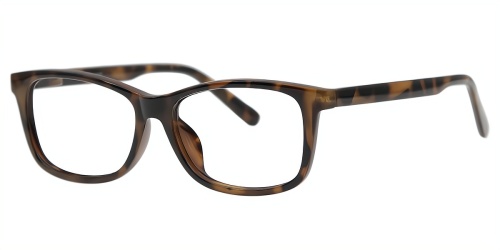 Horn Eyeglasses