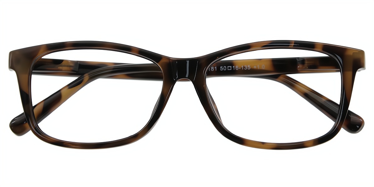 Tortoise Horn Retro TR90 Eyeglasses