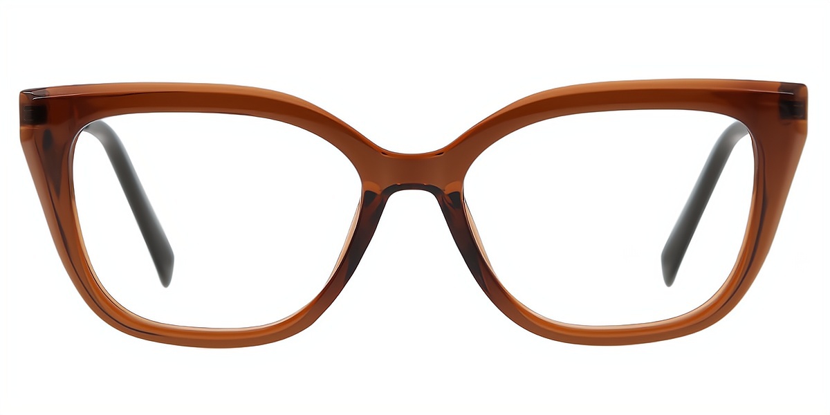 Brown Cat Eye Classic Mixed Materials Eyeglasses