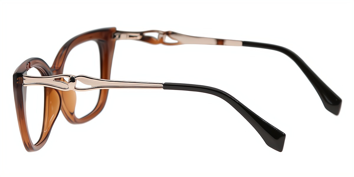 Brown Cat Eye Classic Mixed Materials Eyeglasses
