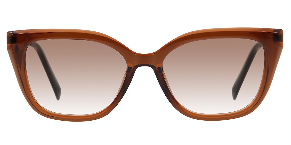 Brown Cat Eye Classic Mixed Materials Eyeglasses