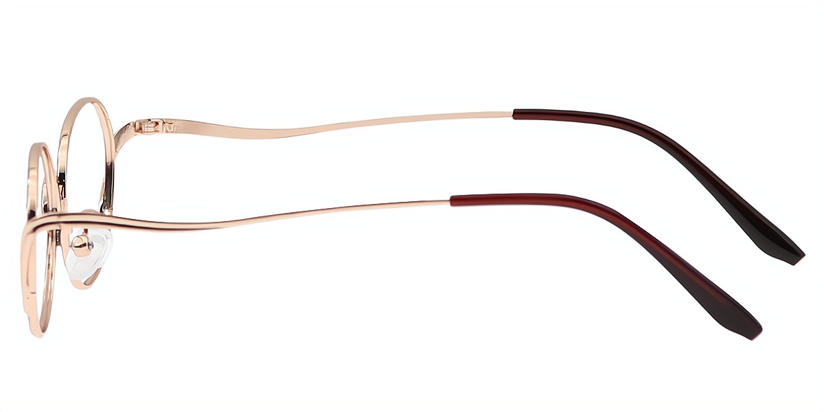 Red Oval Detailed Metal Eyeglasses