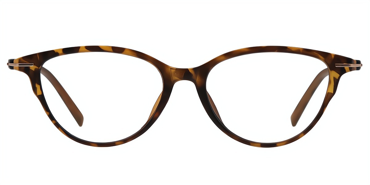 Tortoise Cat Eye Retro Mixed Materials Eyeglasses
