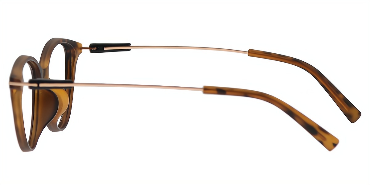 Tortoise Cat Eye Retro Mixed Materials Eyeglasses