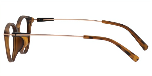 glasses picture