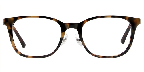Horn Eyeglasses