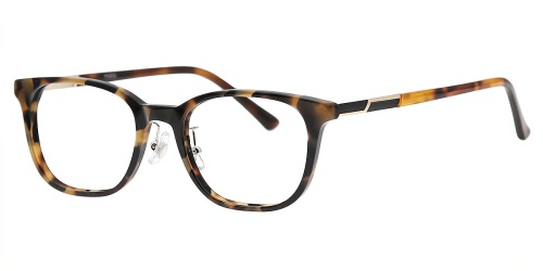 Horn Eyeglasses