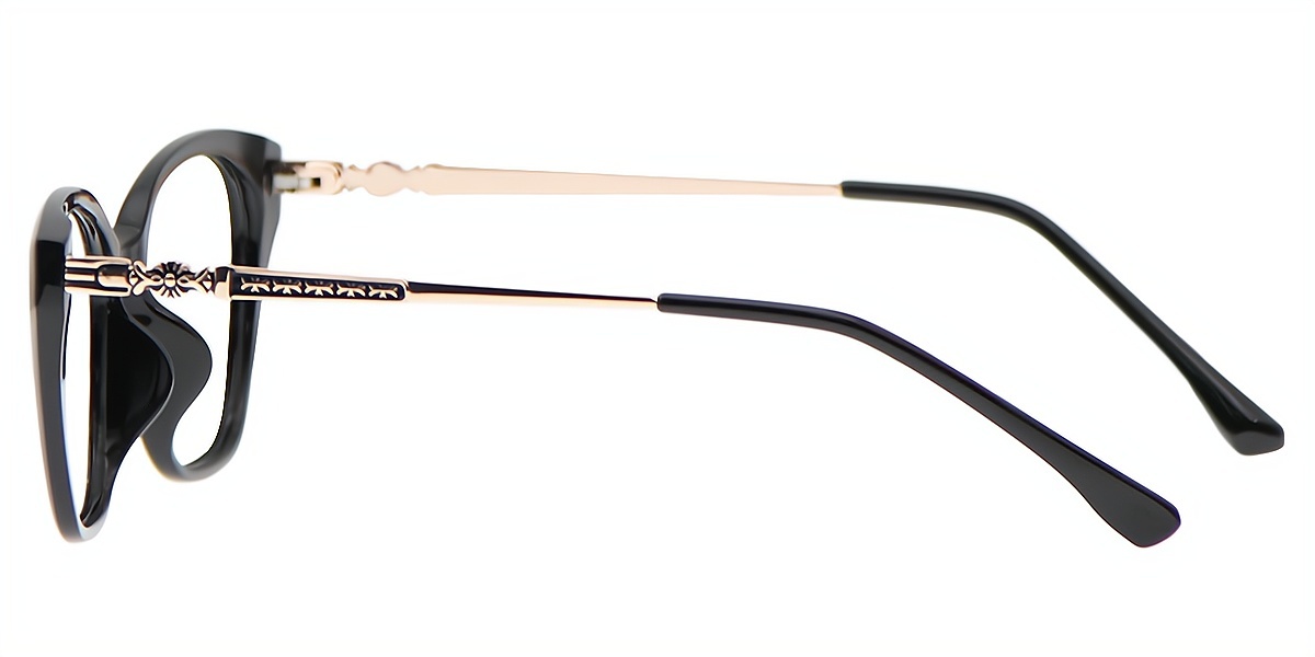 Black Cat Eye Elegant Mixed Materials Eyeglasses