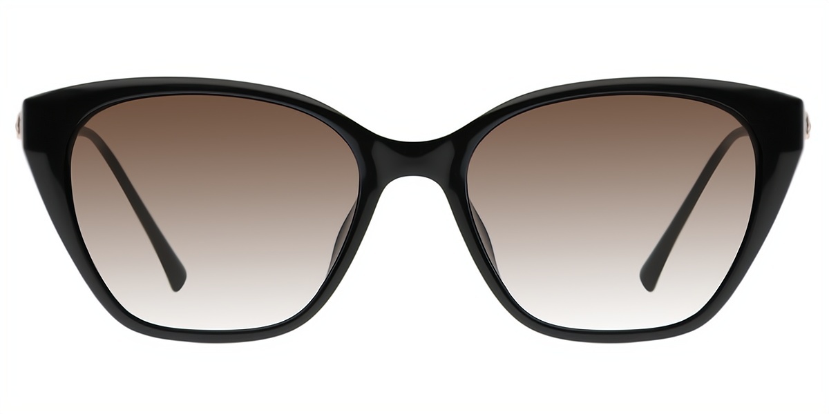 Black Cat Eye Elegant Mixed Materials Eyeglasses