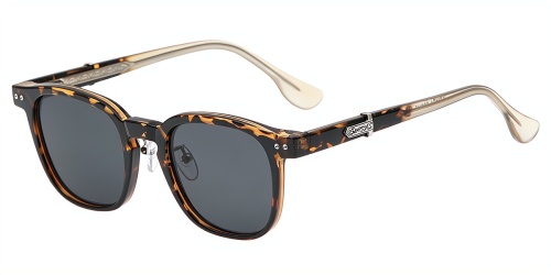 Horn Eyeglasses