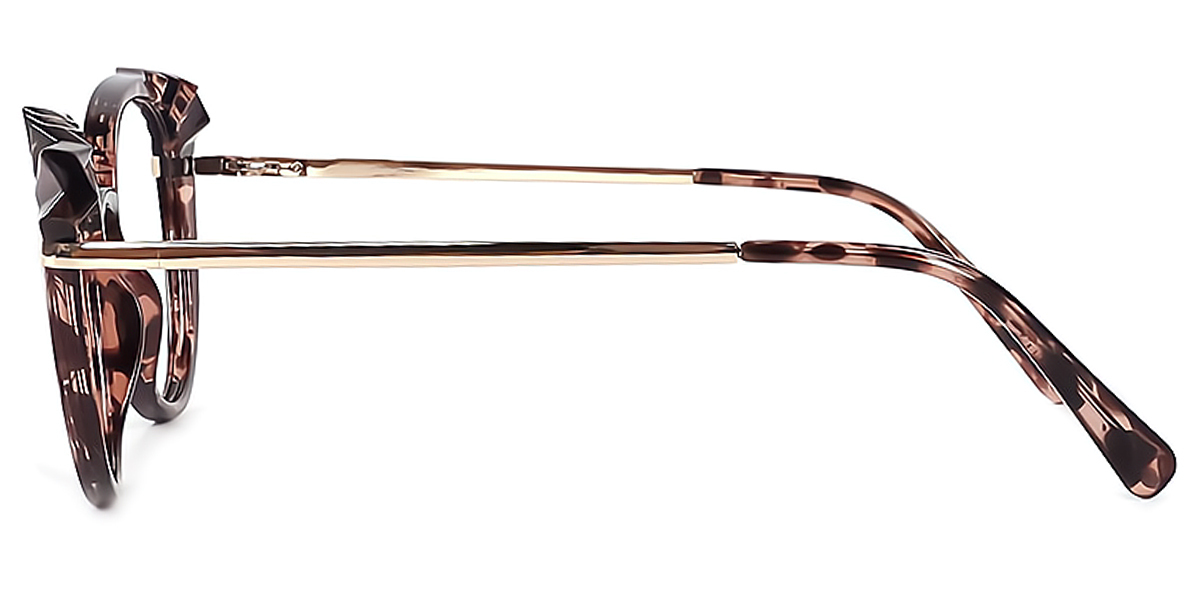 Tortoise Cat Eye Hipster Plastic Eyeglasses