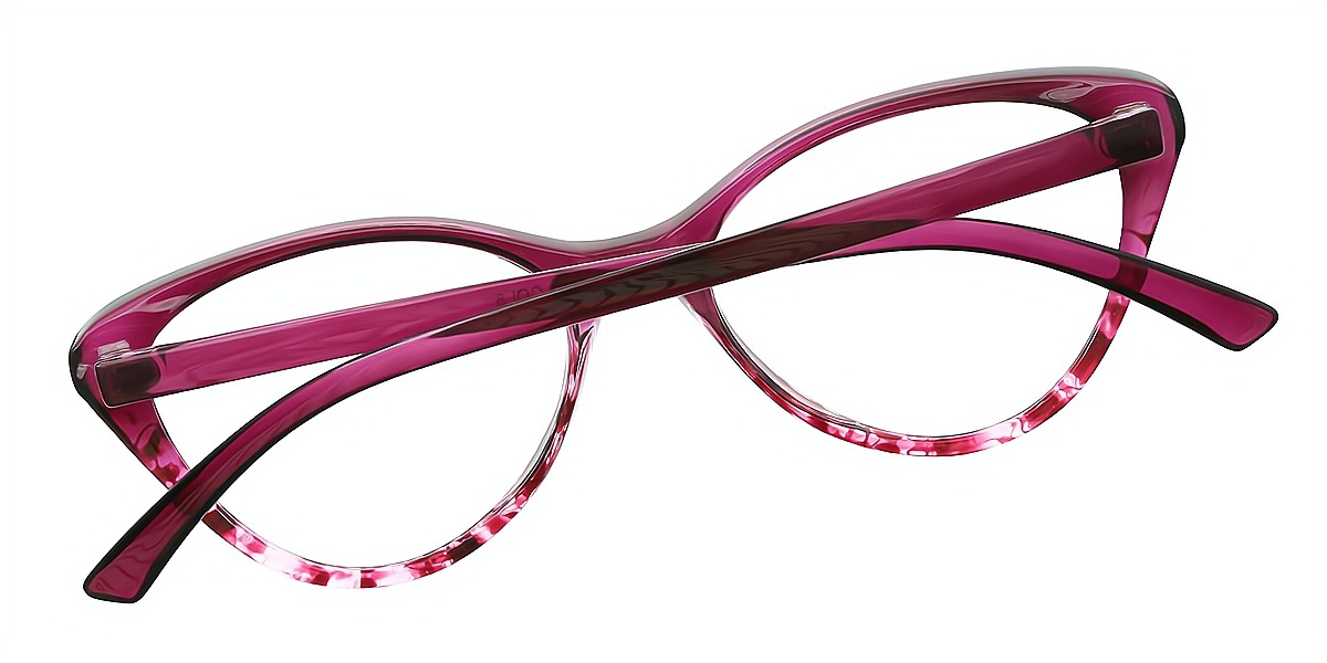 Purple Cat Eye Exquisite TR90 Eyeglasses