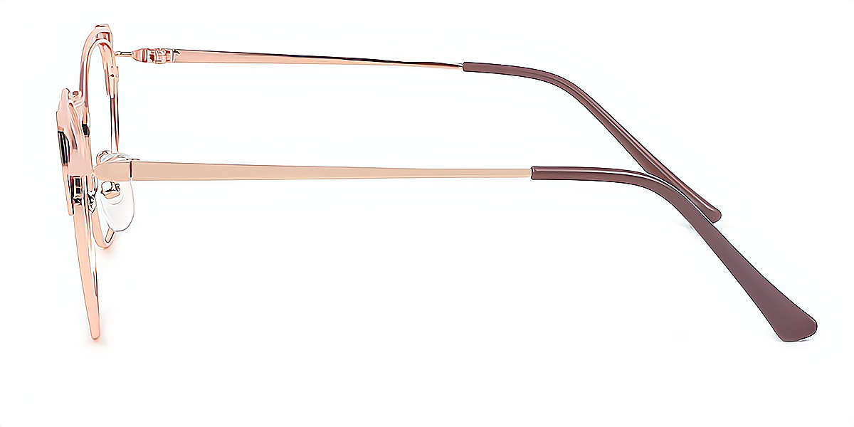Brown Cat Eye Sophisticated Metal Eyeglasses
