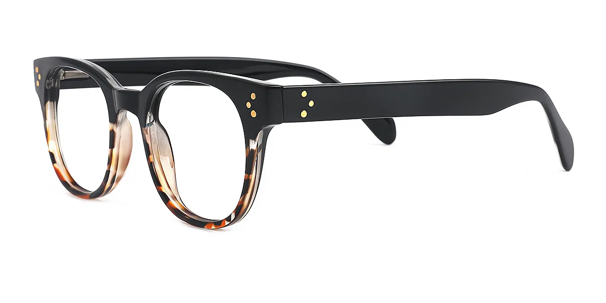 Black-Tortoise Oval Retro Plastic Eyeglasses