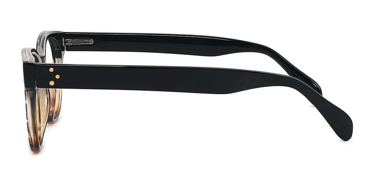Black-Tortoise Oval Retro Plastic Eyeglasses