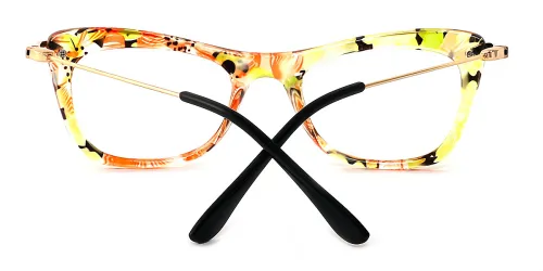 glasses picture
