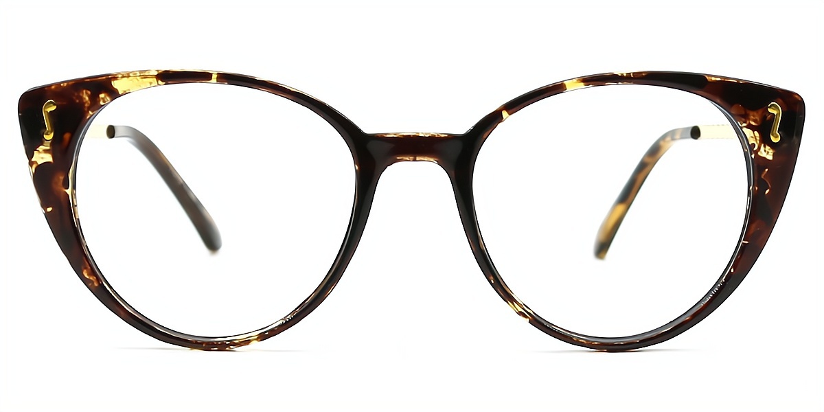 Tortoise Cat Eye Exquisite Plastic Eyeglasses