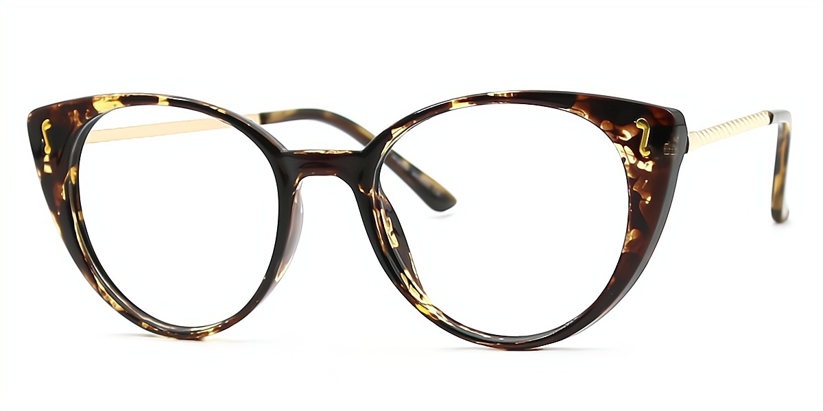 Tortoise Cat Eye Exquisite Plastic Eyeglasses