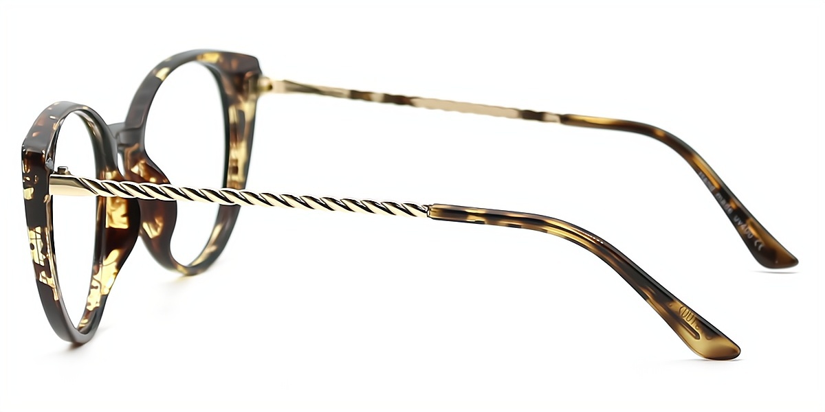 Tortoise Cat Eye Exquisite Plastic Eyeglasses