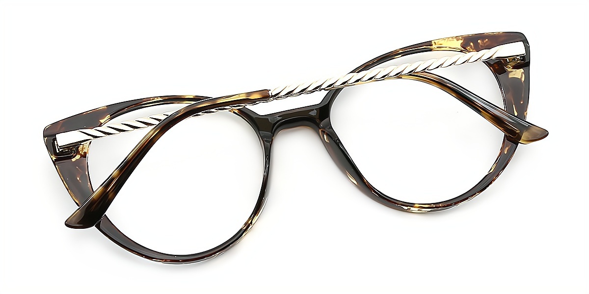 Tortoise Cat Eye Exquisite Plastic Eyeglasses