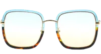 Frame 1